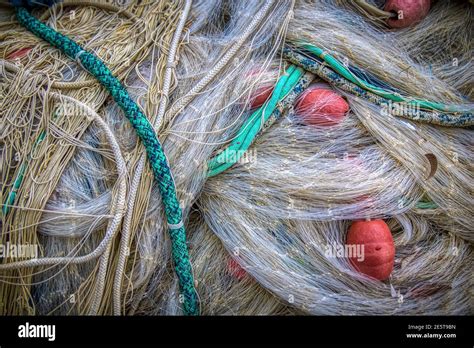 Vita Da Spiaggia Hi Res Stock Photography And Images Alamy