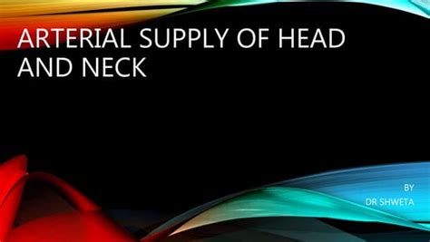 Neurovascular Topography Of The Face And Neck