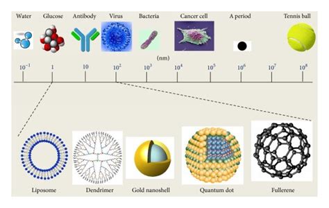 Several Nanomaterials Are Seen Ranging From A Scale Of 1 To 100 Nm