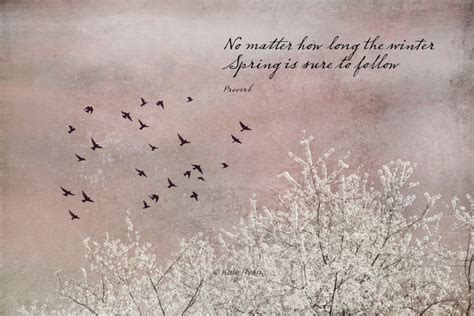 Nature Photo, Quotes, Art Print, Typography, Tree Photo, Spring ...