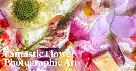 A Dose Of Flower Art Photography By Joe Horner Living Flowers