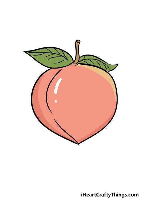 Peach Drawing - How To Draw A Peach Step By Step