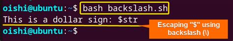 How To Escape Special Characters In Bash String 5 Methods Linuxsimply