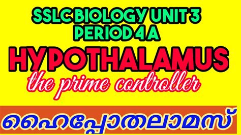 Sslc Biology Unit 3 Period 4 A Youtube