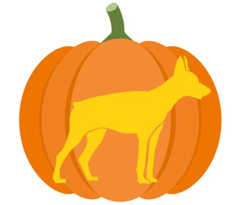 Dog Pumpkin Stencil | Free Printable Papercraft Templates