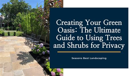 Use Trees and Shrubs for Privacy: Create Your Green Oasis - Seasons Best Landscaping