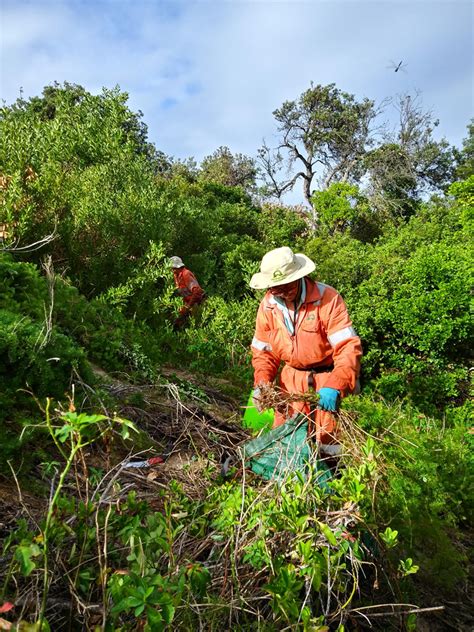 National Landcare Network Community Representation For Landcare