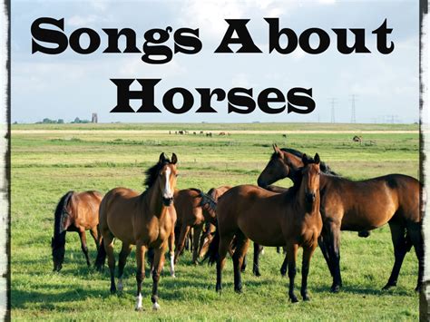 Who sang the song wild horses in the movie fear