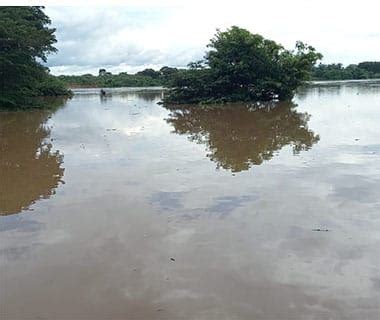 Rio Poti Se Aproxima Dos Metros E Deve Atingir Cota De Inunda O