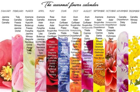 Flower Calendar Seasonal Flowers List Of Flowers