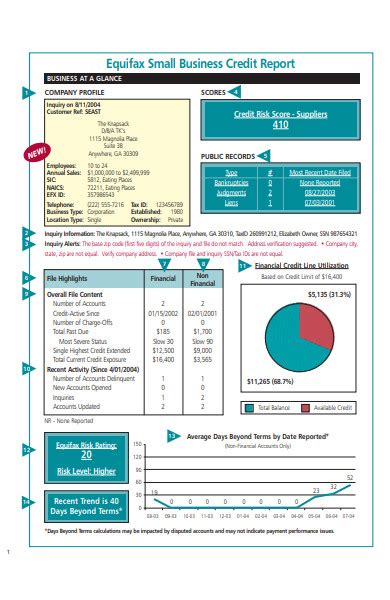 Free 5 Business Credit Report Samples In Pdf Ms Word