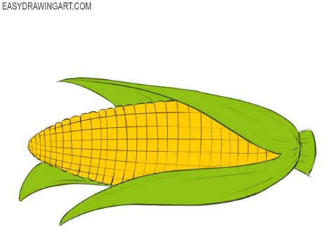 How To Draw A Corn Cob Easy Corn On Cob Corn Drawing Easy Drawings