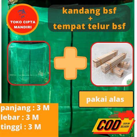 Kandang Lalat Bsf Magot Kandang Bsf Magot Kandang Magot Paket Kayu