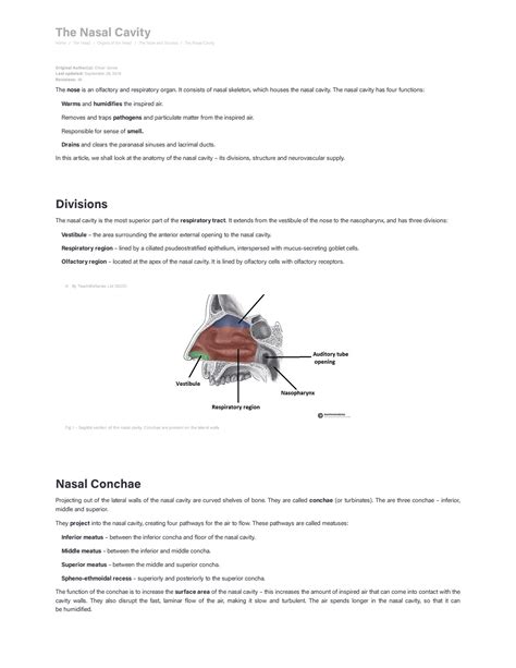 The Nasal Cavity Structure Vasculature Innervation Teachmeanatomy Images