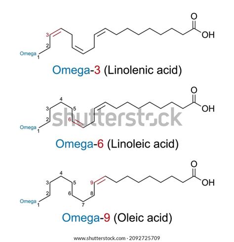 Linoleic Acid Chemical Formula Images Browse Stock Photos Vectors