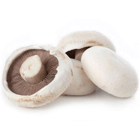 Mushrooms Flats 1kg Fresh Sensations Online