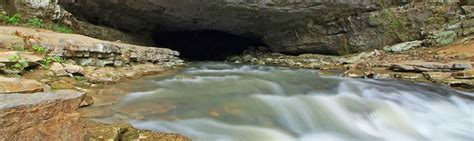 Tennessee Naturalist Program