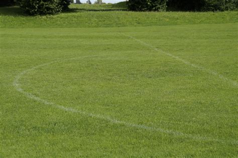 Baseball Field Grass Texture