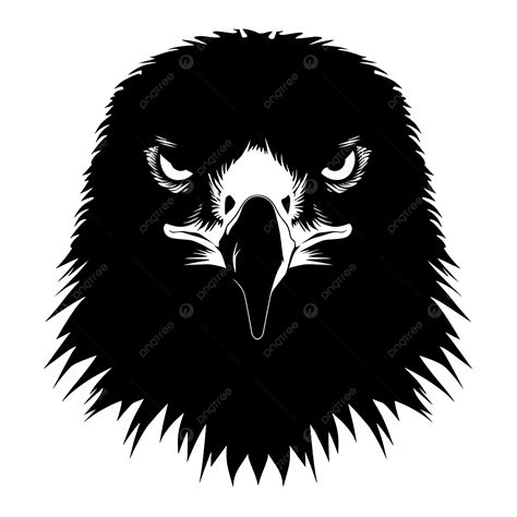 Eagle Falcon Hawk Head Front View Silhouette Black Eagle Head Face