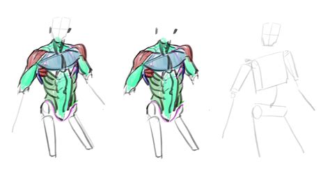 artstation study torso
