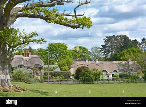 New Forest Lyndhurst Hampshire Rural Thatched Country Cottage Homes In