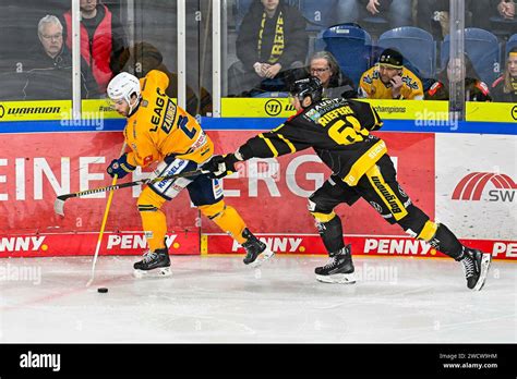 Eishockey Del Spieltag Krefeld Pinguine Vs Lausitzer F Chse