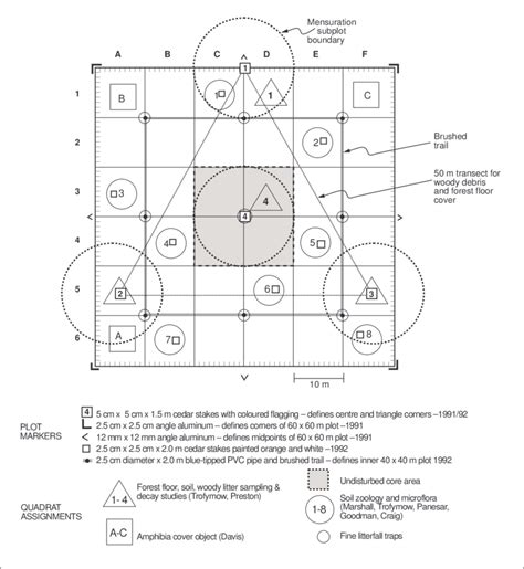 Triangular Survey Plot Layout Superimposed Upon 60 × 60 M Square Plot