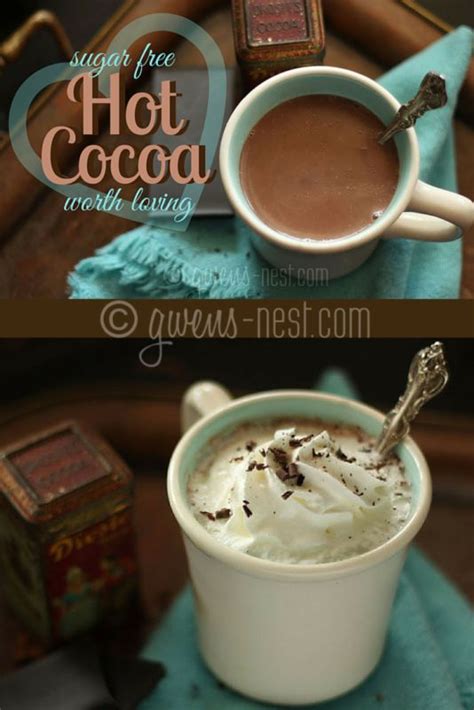 Sugar Free Hot Chocolate Recipe Gwen S Nest