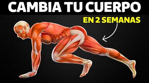 Estas Listo Para Transformar Tu Cuerpo Rapidamente En Solo Dos Semanas