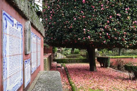 A Muralha Promove Visita Guiada Aos Jardins Da Casa De Margaride Mais