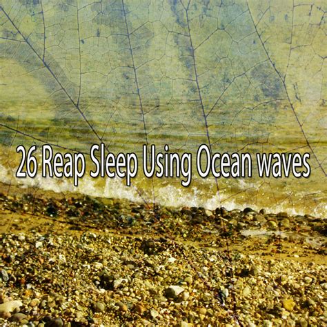 Reap Sleep Using Ocean Waves Album By Ocean Waves For Sleep Spotify