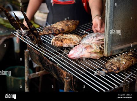 Fish On Simple Charcoal Grill Chiang Mai Thailand Stock Photo Alamy