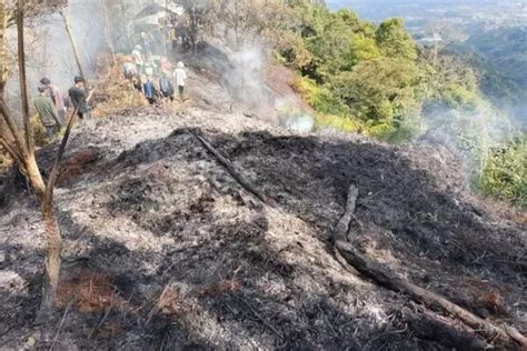 1 Hektare Hutan Gunung Salak Alami Kebakaran Begini Kondisi