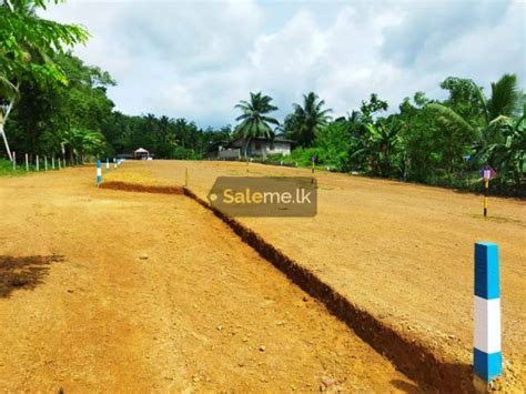 Land Block Out Lands In Moratuwa In Moratuwa SaleMe Lk