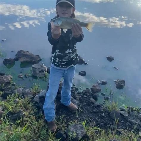 ᐅ Kaibab Lake fishing reports🎣• Flagstaff, AZ (United States) fishing