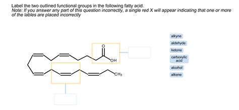 Solved Label The Two Outlined Functional Groups In The Chegg