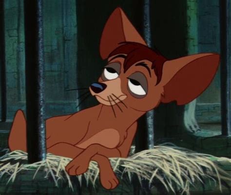 Pound Dogs Disney Wiki Fandom Powered By Wikia