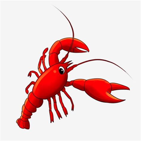 Gambar Udang Karang Kartun Udang Lobster Makanan Laut Ilustrasi Udang