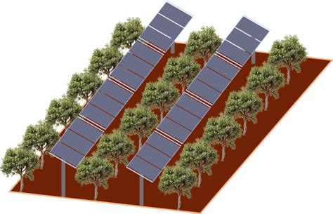 Desarrollan En España Un Modelo Que Estima El Espacio Cultivable En Plantas Fotovoltaicas