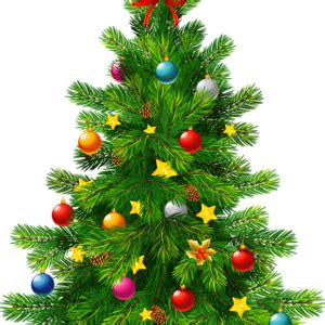 christmas-tree-transparent-clipart-20.png | Maggotdrowners Forums