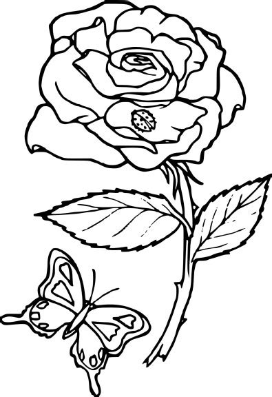 Coloriage Rose Fleur Imprimer