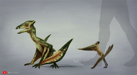 Pteranodon Size Comparison