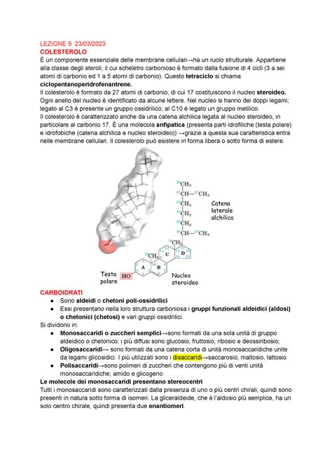 Biochimica Prof Zara Lezione Lezione Colesterolo Un