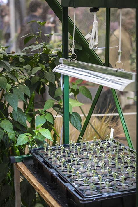 Hydrogarden At Rhs Chelsea Flower Show 2013 Hydrogarden Is One Of The