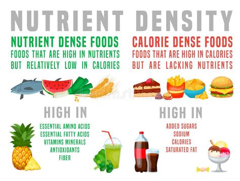 Calorie Density Stock Illustrations Calorie Density Stock