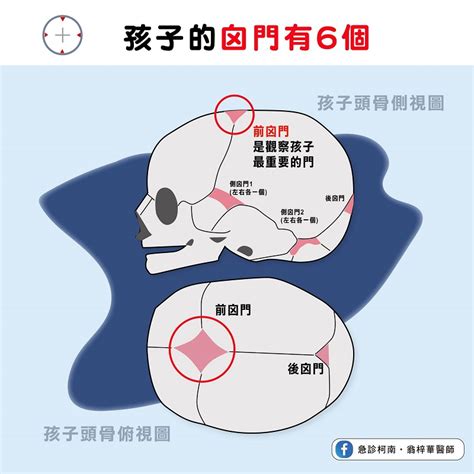 寶寶頭頂凹一塊沒骨頭？新手爸媽觀察囟門四變化 攸關小孩健康 486先生