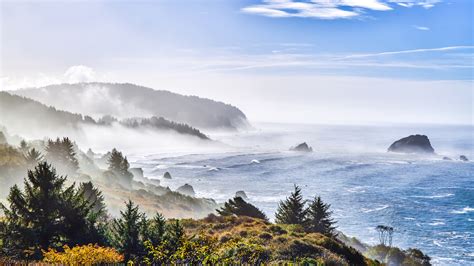 Best hikes in Redwood National Park: from tall trees to rugged ...