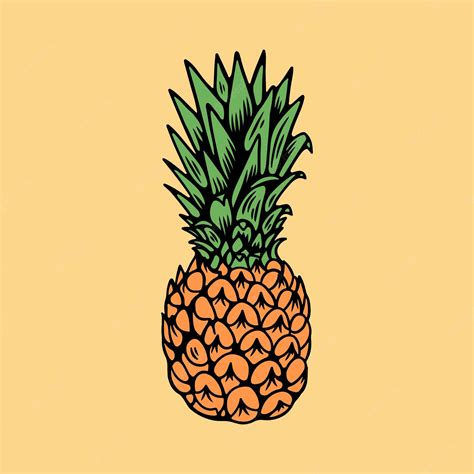 Premium Vector Pineapple Illustration