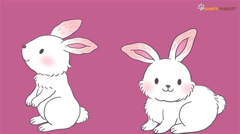 Female Rabbit Names 200 Ideas For Adorable Girl Bunny