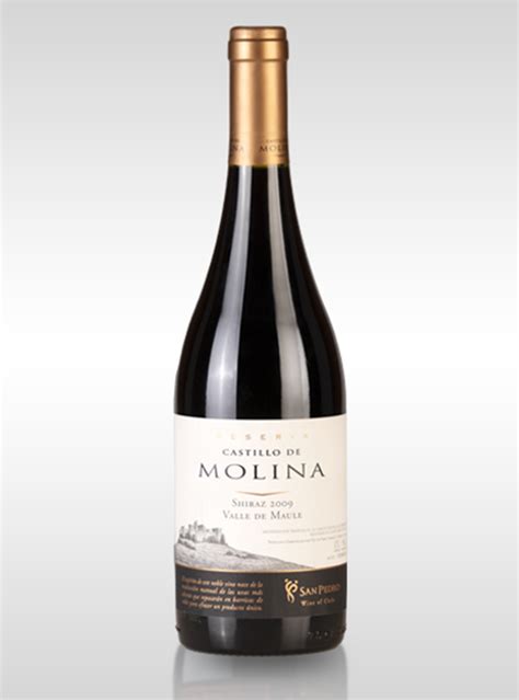 Vino Castillo De Molina Pinot Noir Tamayo CIA S A